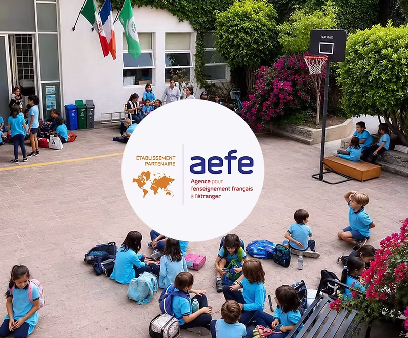 AEFE (Agencia para la Enseñanza Francesa en el Extranjero)