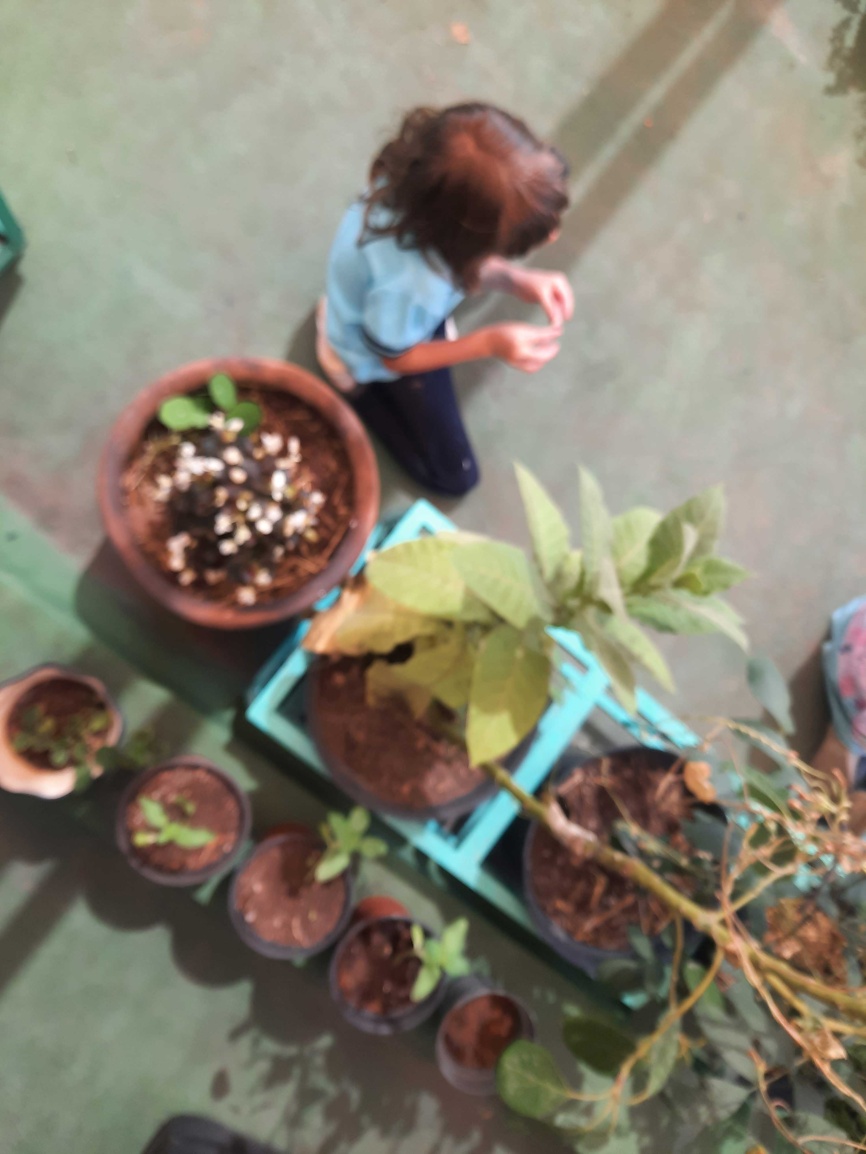 vida, EFAD, ecología